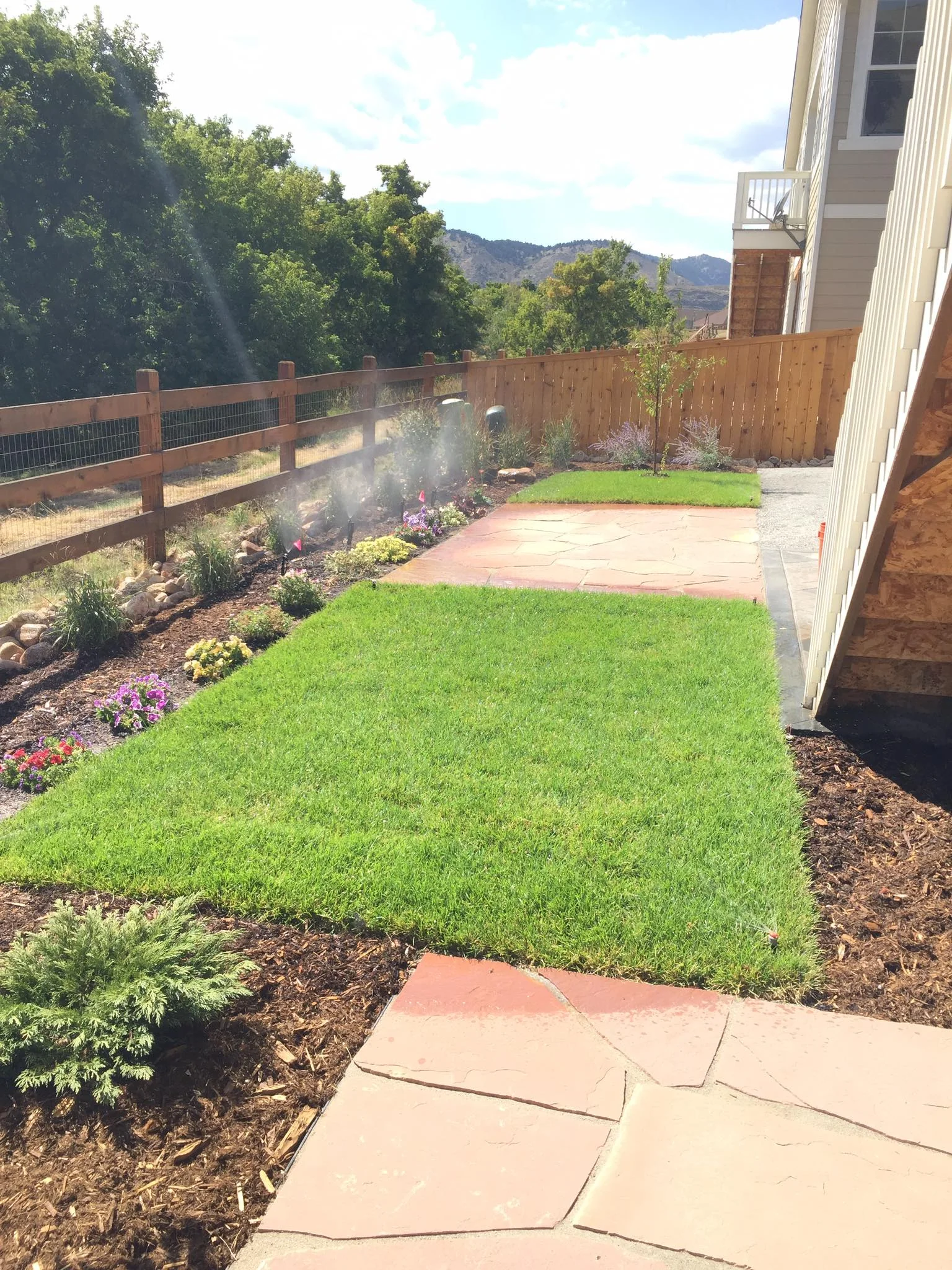 Recent landscaping installation in Denver CO by Flores Sprinkler & Landscape